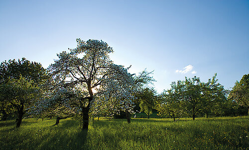 Urlaub in Illschwang in der Oberpfalz in Bayern